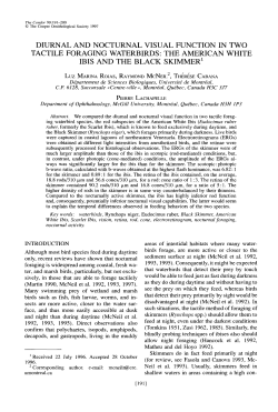 Diurnal and Nocturnal Visual Function in two Tactile