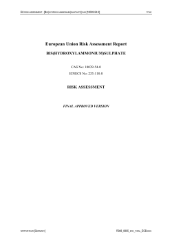 Risk Assessment Report - ECHA
