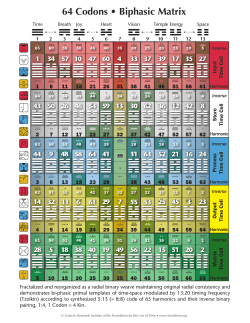 64 Codons • Biphasic Matrix - Foundation for the Law of Time