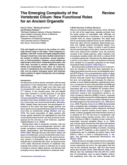 Review The Emerging Complexity of the Vertebrate Cilium: New