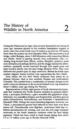 The History of Wildlife in North America