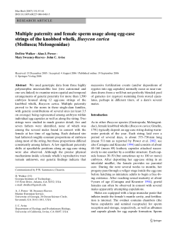 Multiple paternity and female sperm usage along egg
