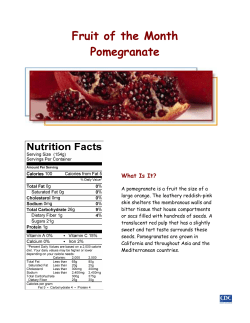 Pomegranate - Health Stand Nutrition Consulting