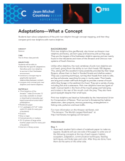 Adaptations&mdash;What a Concept