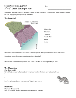 South Carolina Aquarium 3 &ndash; 5 Grade Scavenger Hunt