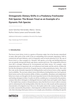 The Brown Trout as an Example of a Dynamic Fish