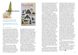 Book Review: Moths of Northeastern North America