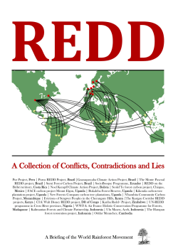 A Collection of Conflicts, Contradictions and Lies