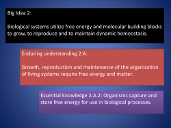 Big Idea 2: Biological systems utilize free energy and molecular