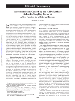 Editorial Commentary