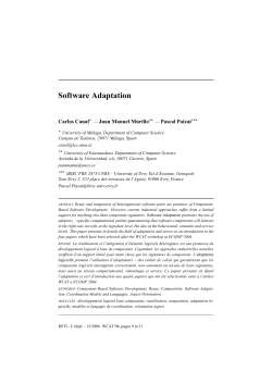 Software Adaptation
