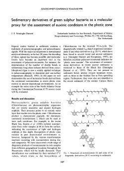 Sedimentary derivatives of green sulphur bacteria as a molecular