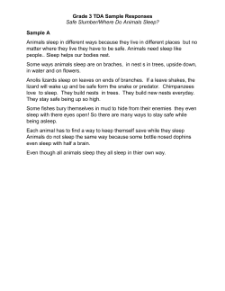 Grade 3 Sample Papers