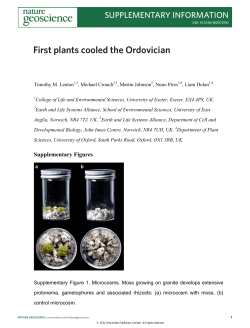 First plants cooled the Ordovician - geo.uni
