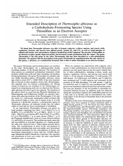Emended Description of Thermusiphu afiicanus as a Carbohydrate