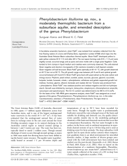 Phenylobacterium lituiforme sp. nov., a moderately thermophilic