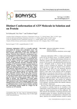 Distinct Conformation of ATP Molecule in Solution and on Protein