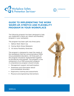 guiDe to iMPleMenting tHe work warM