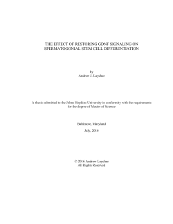 LAYCHUR-THESIS-2016 - JScholarship