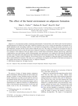 The effect of the burial environment on adipocere