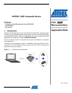 AVR293: USB Composite Device