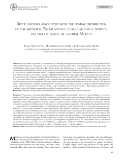 biotic factors associated with the spatial distribution of the mistletoe