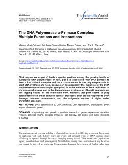 The DNA Polymerase &alpha;-Primase Complex: Multiple