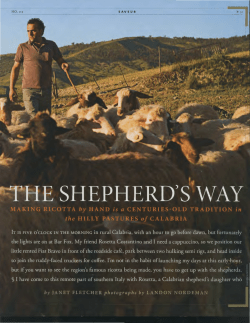 PDF - Janet Fletcher