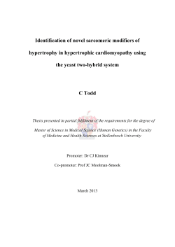 Identification of novel sarcomeric modifiers of hypertrophy in