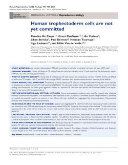 Human trophectoderm cells are not yet committed