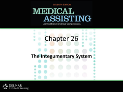 ch26revised