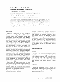 Electron Microscopic Study of the Polymyxin Treated