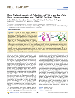 Metal Binding Properties of Escherichia coli YjiA, a Member of the