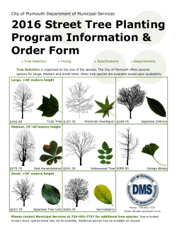 The 2016 Street Tree Program Information