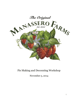 Pie Making and Decorating Workshop