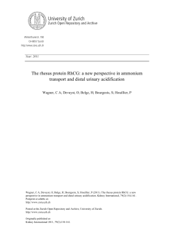 The Rhesus protein RhCG: a new perspective in