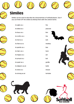Similes - Softball NZ