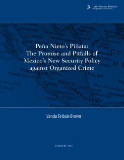 The Promise and Pitfalls of Mexico`s New Security Policy against