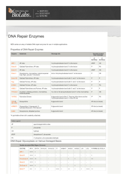DNA Repair Enzymes | NEB