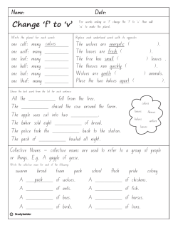 plural rule change f to v