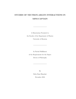 STUDIES OF NEUTRON-ARGON INTERACTIONS IN MINI