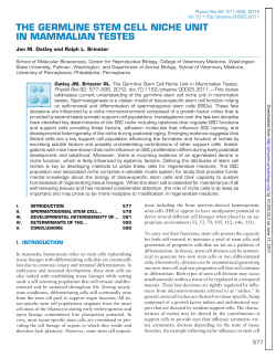 THE GERMLINE STEM CELL NICHE UNIT IN MAMMALIAN TESTES