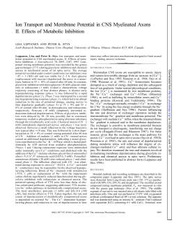 Ion Transport and Membrane Potential in CNS Myelinated Axons II