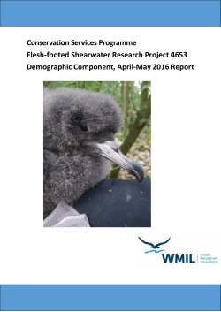 Final report for CSP Project Flesh-footed shearwater demographic