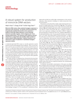 A robust system for production of minicircle DNA vectors