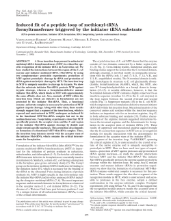 methionyl tRNA formyltransferase