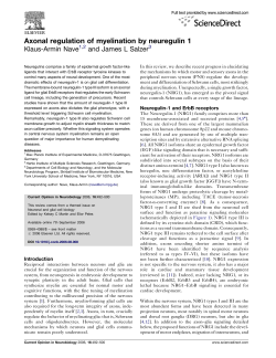 Axonal regulation of myelination by neuregulin 1