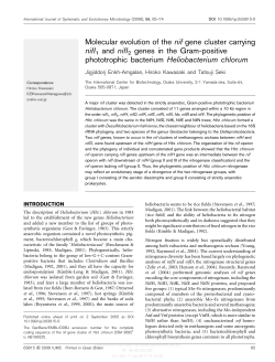 Molecular evolution of the nif gene cluster carrying nifI1 and nifI 2