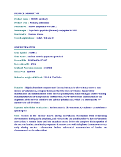 PRODUCT INFORMATION Product name： NUMA1