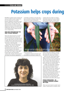 Potassium helps crops during